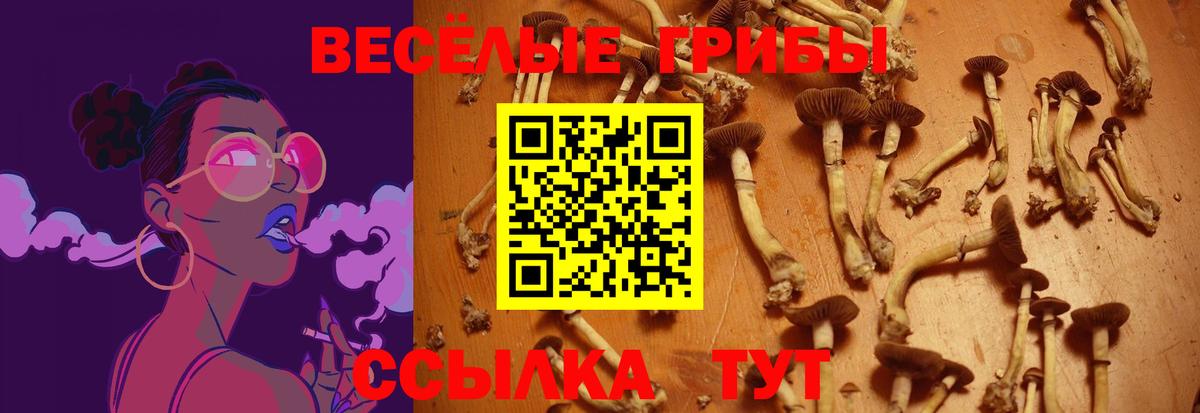 Галлюциногенные грибы MAGIC MUSHROOMS  Вход с VPN  Чехов 